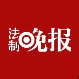 今日生活爆料电话,今日爆料电话背后的故事