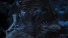 韩国大虎手机在线观看,在线观看揭秘神秘科技力量 第3张 韩国大虎手机在线观看,在线观看揭秘神秘科技力量 第3张