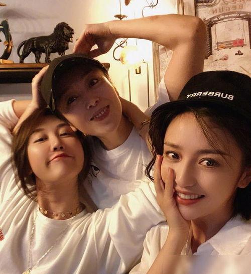 恋情爆料视频大全最新版,最新版揭秘明星甜蜜瞬间